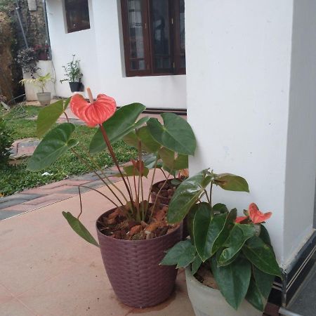 Holly House Homestay Ella Exterior photo